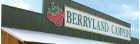 Dealer logo image